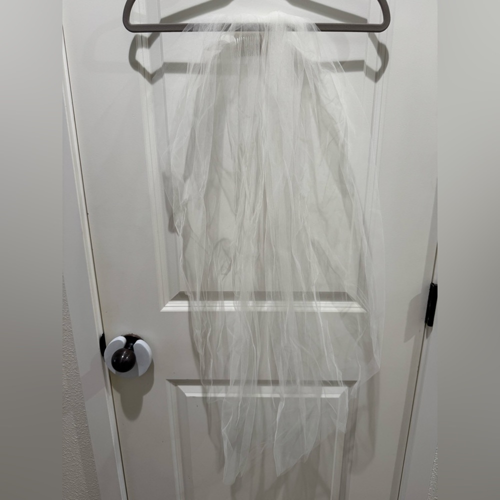 EUC Darren Colbert Bridal Veil in Ivory